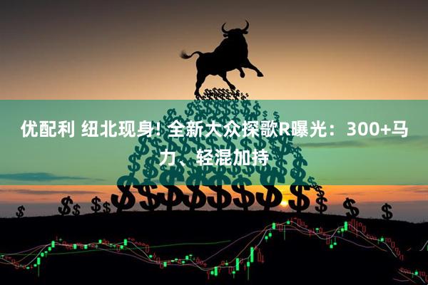 优配利 纽北现身! 全新大众探歌R曝光：300+马力、轻混加持
